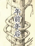 年前年后